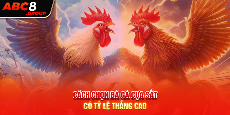 Cách chọn đá gà cựa sắt có tỷ lệ thắng cao